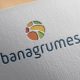Logo Banagrumes imprimé sur papier gaufrage